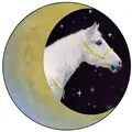 Nocturnal Equestrian 