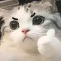 𝐭𝐢𝐧𝐞𝐞𝐞