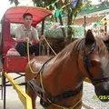 Joel Flores Sabuero