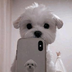 (｡･ω･｡)