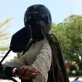 janekarla