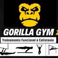 Gorilla Calistenia Street workou