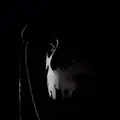 Ghost_Pines