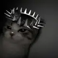 𝓢𝓽𝓪𝓬𝓱𝓿𝓼𝓼 