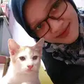 cikSaricatUmi