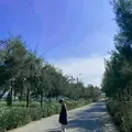 Thúy Hằng788