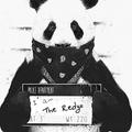 Melvyn The Redyx