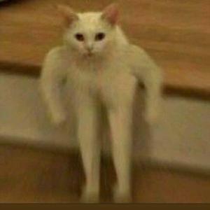 ẻ