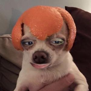 /: