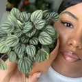 The Rich Plant Mom