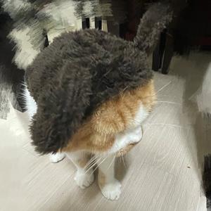 옌니𝑦𝑒𝑛𝑛𝑦