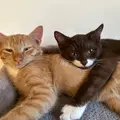 Jimmy and Ernie