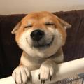 Chihihihiii