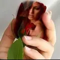 Romantica 🌹♥️♥️