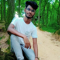 Palash paul