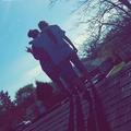 Stephanies Videos