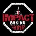 Impact boxing zone 
