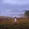 Là Hương 🌸