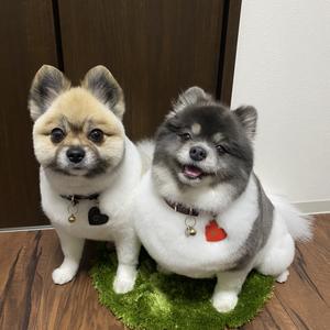 うた銀