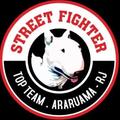 Street Fighter Top Team