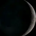 urmayii