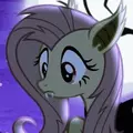 theequalvirusmlp