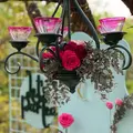austinmomentsco