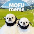 mofu_meme