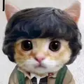 chimpanzee boy