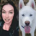 Hedgewitch  Wolf