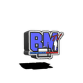 BUSINESSMAN TV LLC