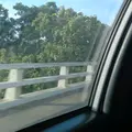 sshinee