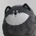 hansnoor14