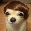 kent_natb