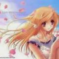 Kirara Aradhea