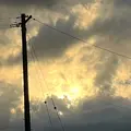 夕日くん