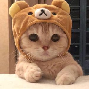 🌻@JaceeCalex[edits]