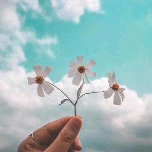 _𝕃𝕟𝕙𝕟𝕘🍀