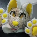 StarryTheWolfCat997