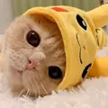 Hanin [LDR]