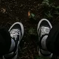 citato259