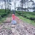 HauraJihan_IMA