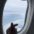 wiwiw_SI
