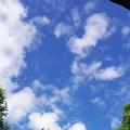 awan228