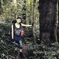 dedenmr73