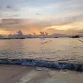motiva_cão_@