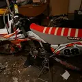 Swiss goat