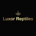 Luxorreptiles
