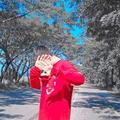 Suthipong Chanal