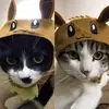 パリピ